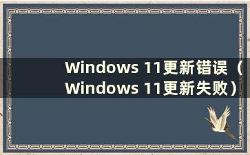 Windows 11更新错误（Windows 11更新失败）